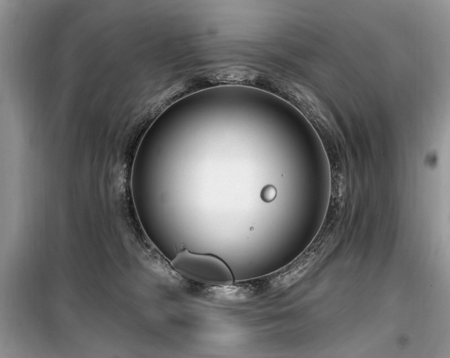 X0000099560326200805161459