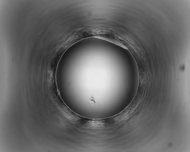 X0000099560327200805161459