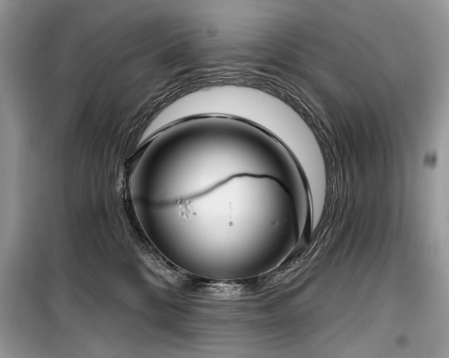 X0000099560328200805161459