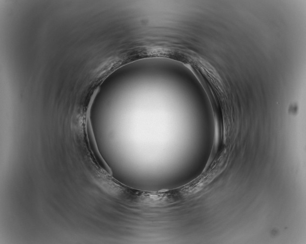 X0000099560329200805161459