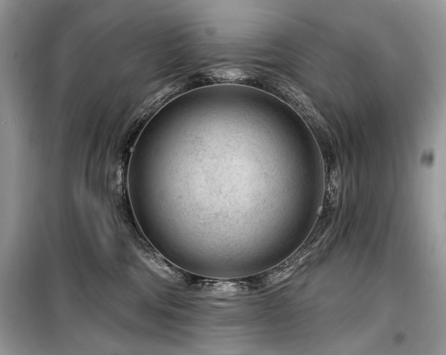 X0000099560330200805161459