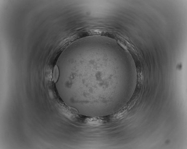 X0000099560331200805161459