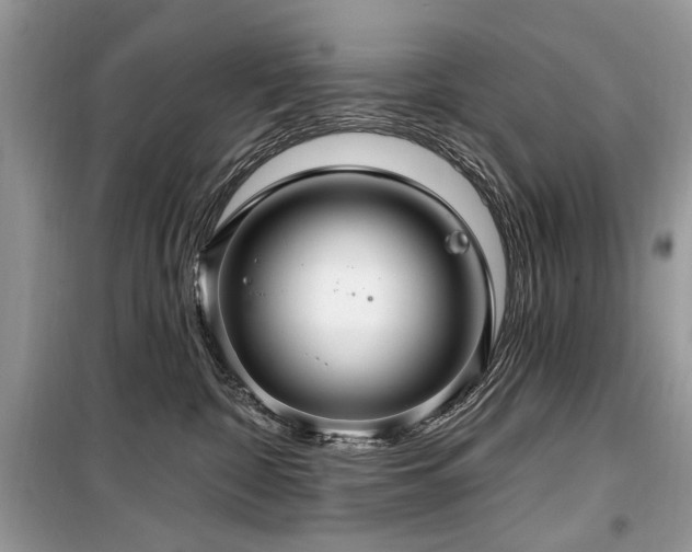 X0000099560332200805161459