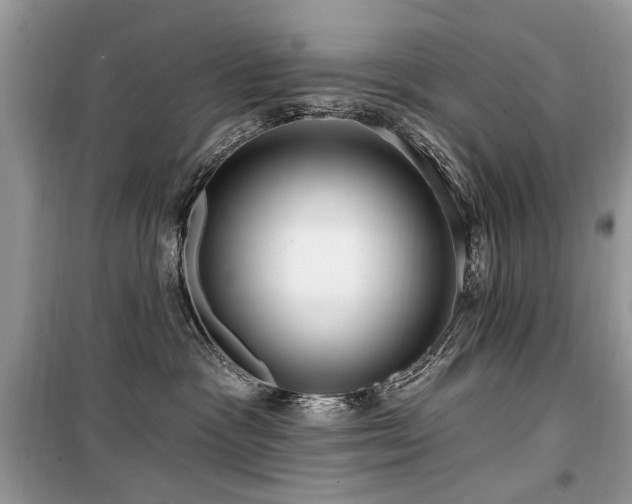 X0000099560333200805161459