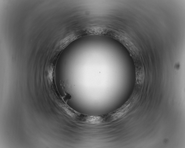 X0000099560334200805161459