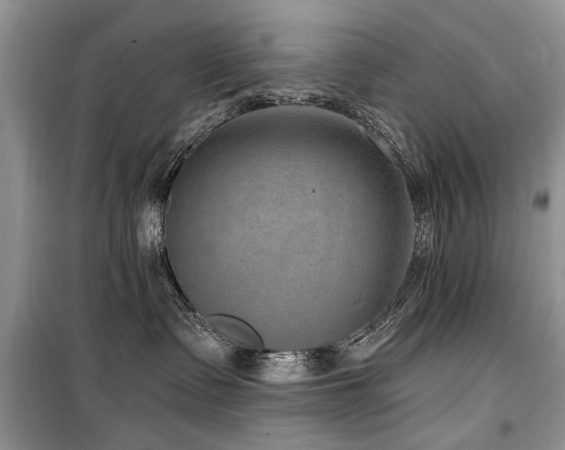 X0000099560335200805161459