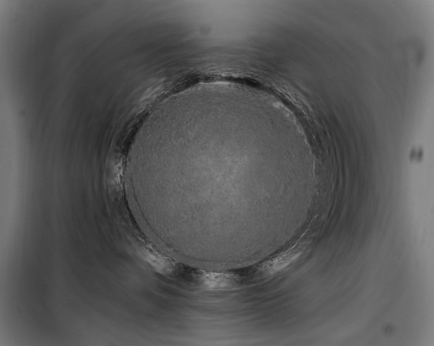 X0000099560336200805161459