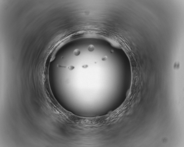 X0000099560338200805161458