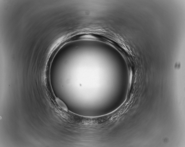 X0000099560340200805161458