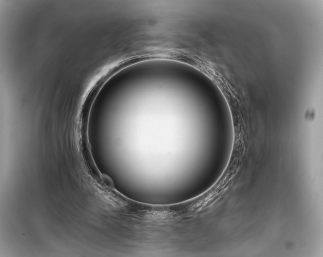 X0000099560342200805161458