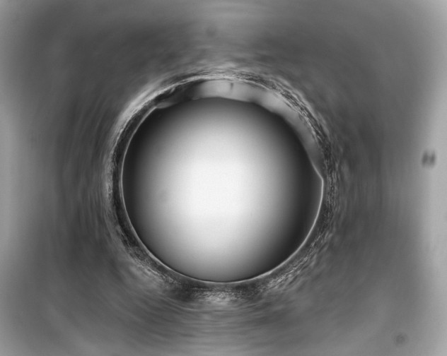 X0000099560344200805161458