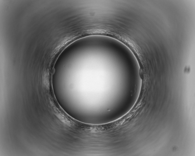 X0000099560345200805161458