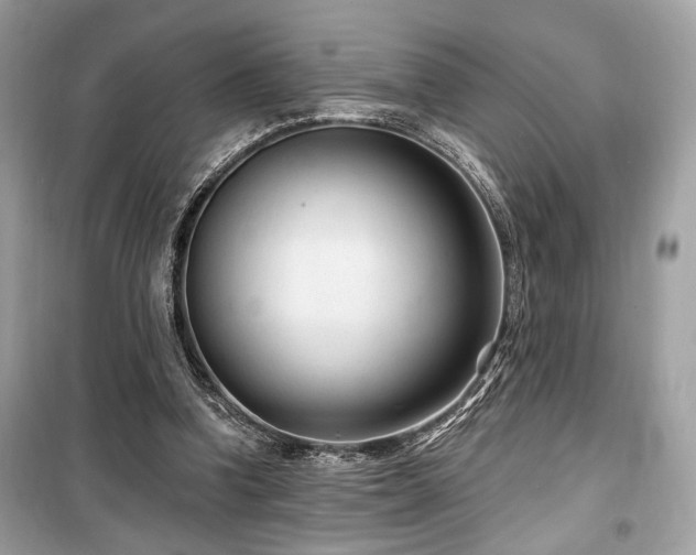 X0000099560346200805161458