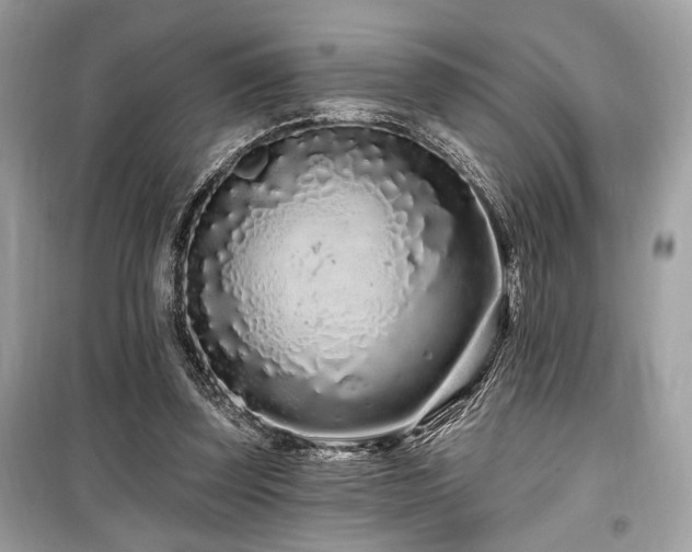 X0000099560347200805161458