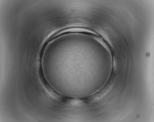 X0000099560348200805161458