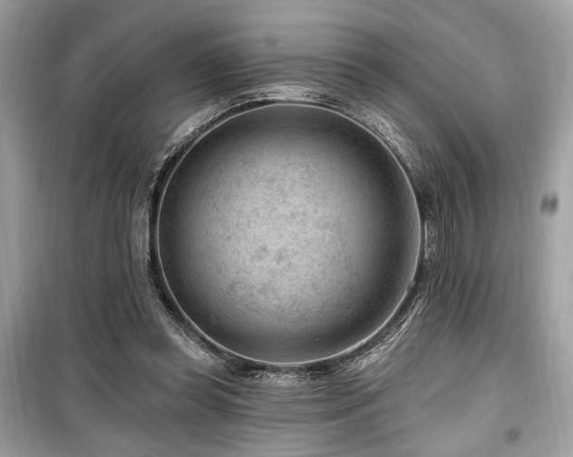 X0000099560349200805161458