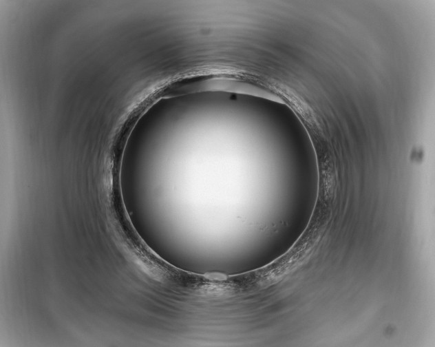 X0000099560350200805161458