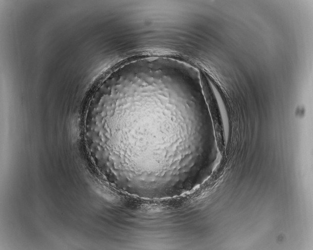 X0000099560351200805161458