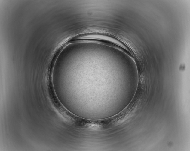 X0000099560352200805161458