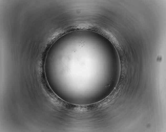 X0000099560354200805161458