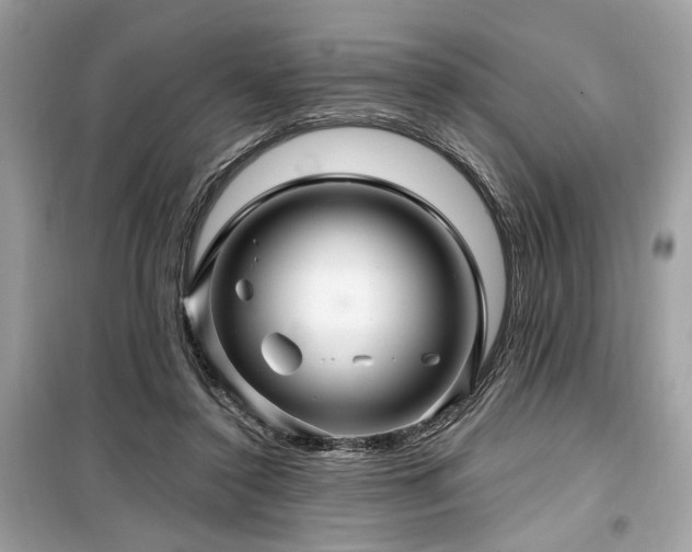 X0000099560356200805161458