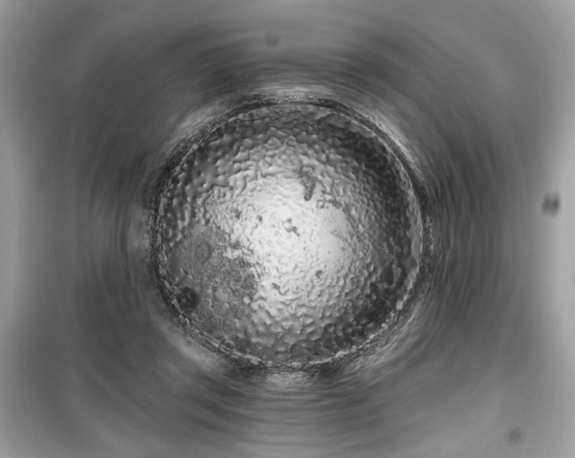 X0000099560357200805161458