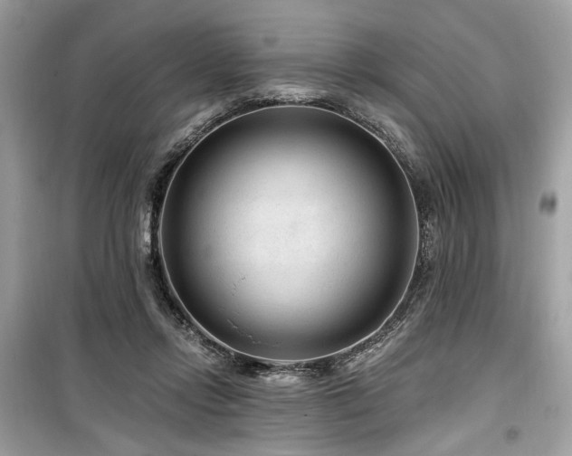 X0000099560358200805161458