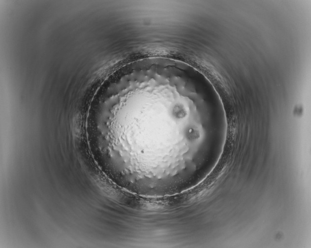 X0000099560359200805161458