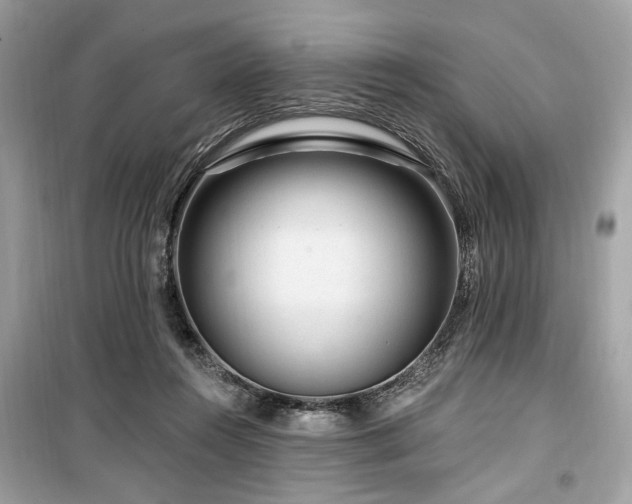 X0000099560360200805161458