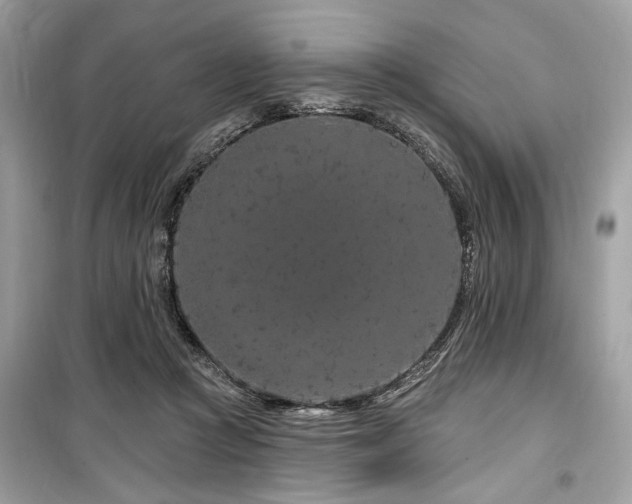 X0000099560361200805161458