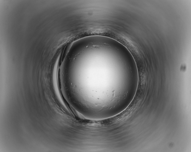 X0000099560362200805161458