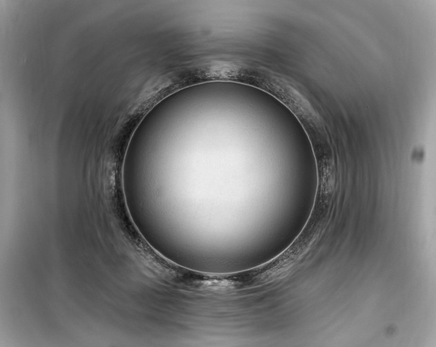 X0000099560363200805161458