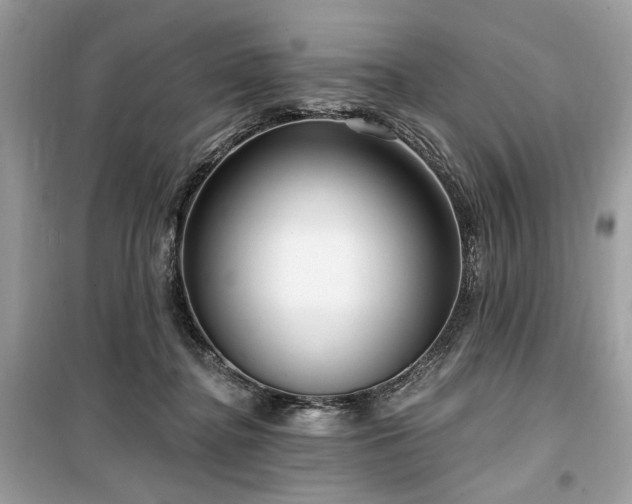 X0000099560364200805161458