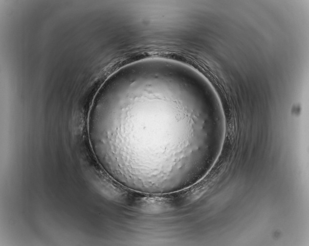 X0000099560367200805161458