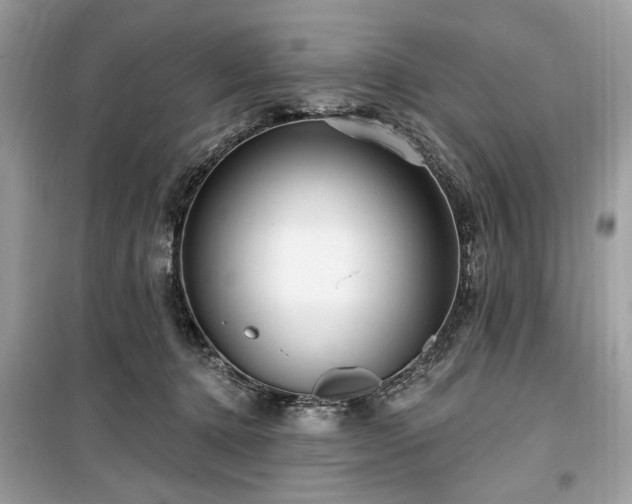 X0000099560368200805161458