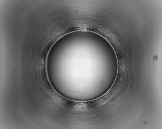 X0000099560369200805161458