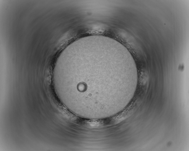 X0000099560370200805161458