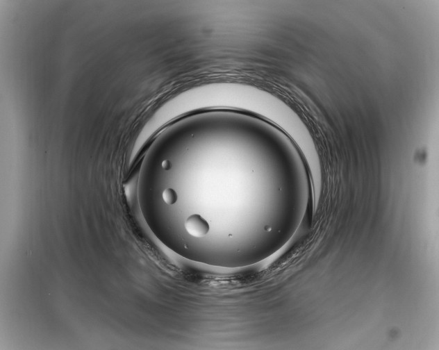 X0000099560372200805161458