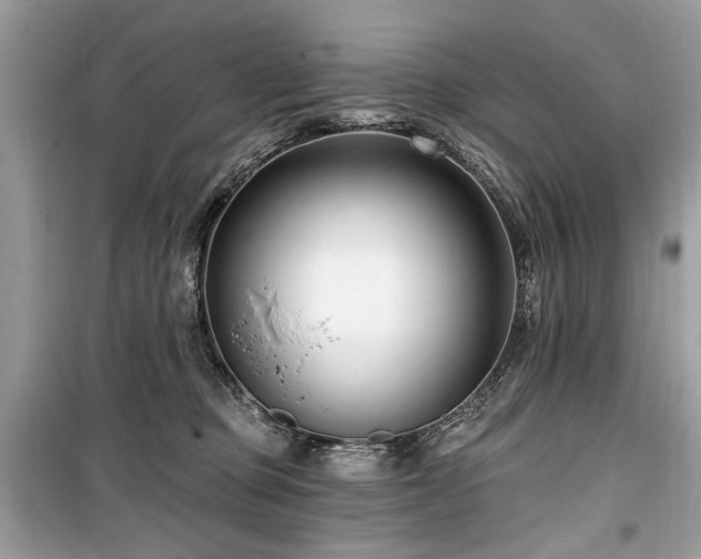 X0000099560373200805161458