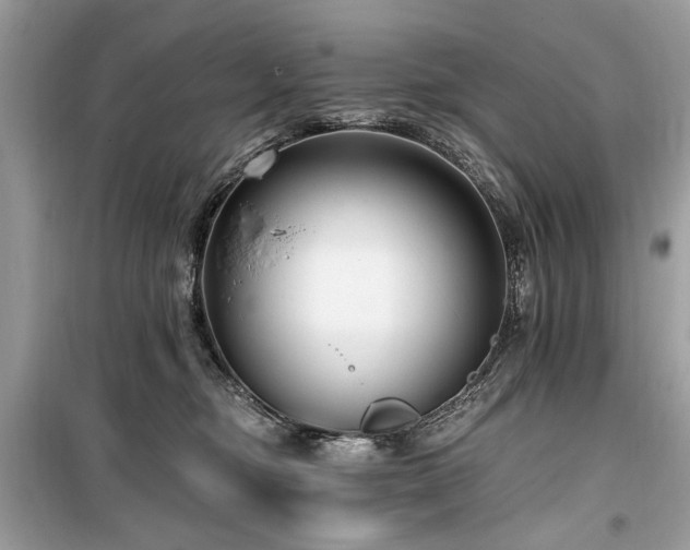 X0000099560374200805161458