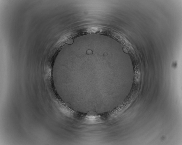 X0000099560375200805161458