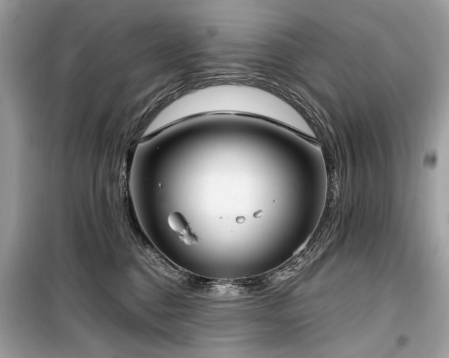 X0000099560376200805161458