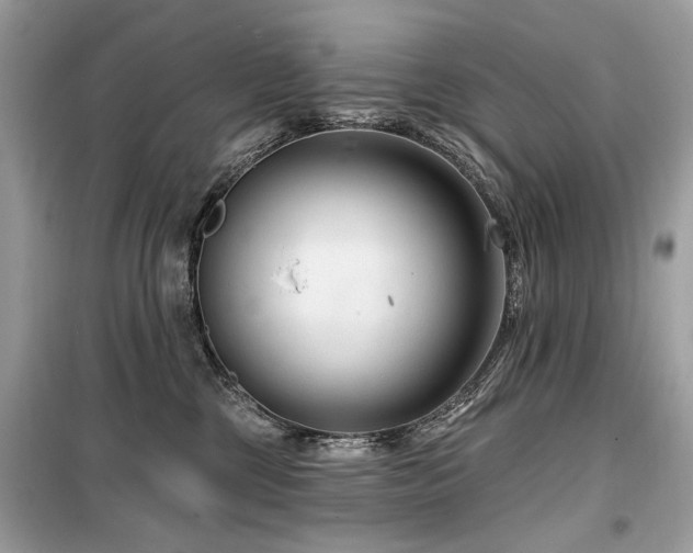 X0000099560377200805161458