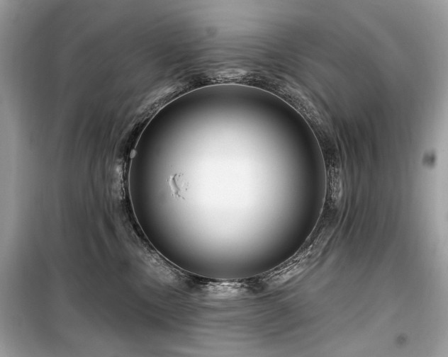 X0000099560378200805161458