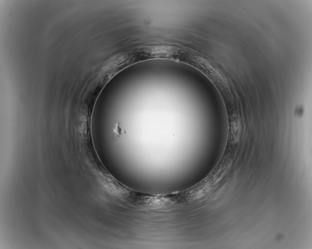 X0000099560379200805161458