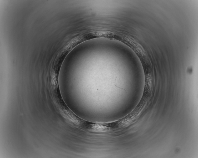 X0000099560380200805161458