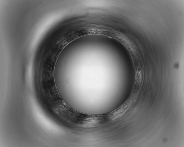 X0000099560381200805161458