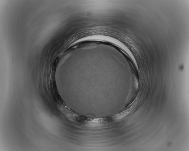 X0000099560382200805161458