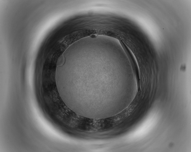 X0000099560383200805161459