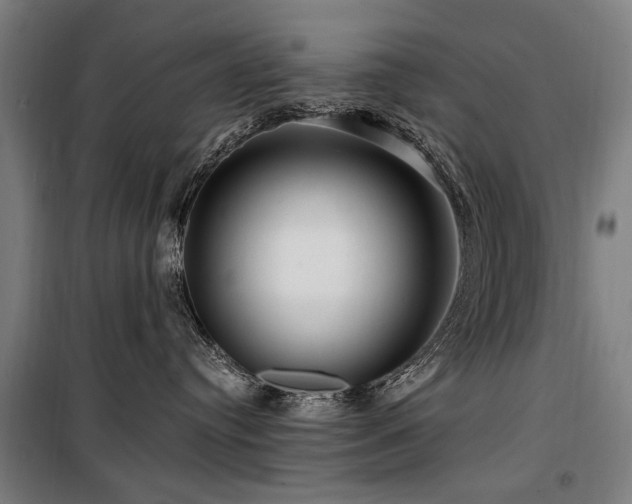 X0000099560384200805161459